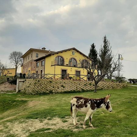 Agriturismo Antica Corte Montatteglia Экстерьер фото
