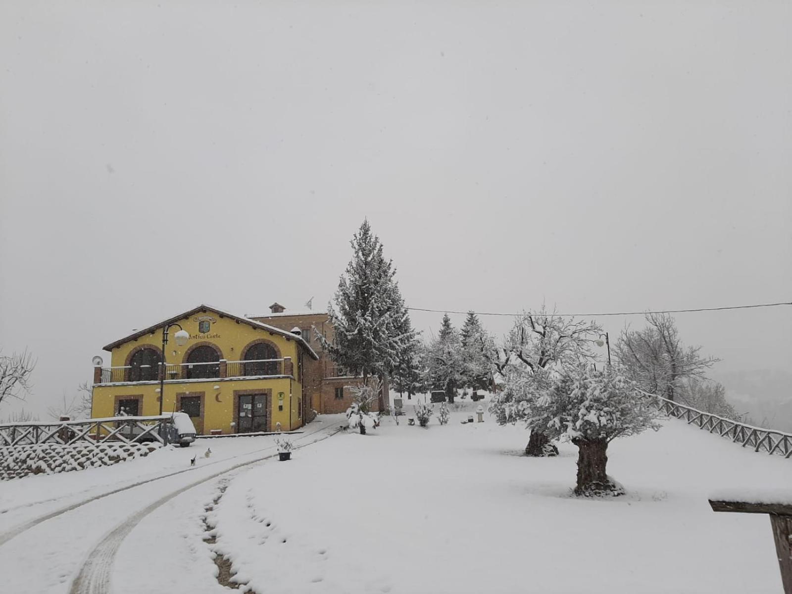Agriturismo Antica Corte Montatteglia Экстерьер фото