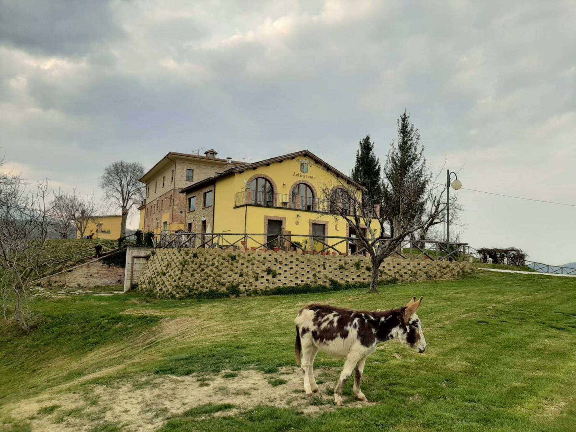 Agriturismo Antica Corte Montatteglia Экстерьер фото